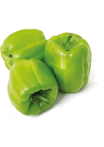 250 Adet Dolmalık Biber Tohumu + Tohum fiyatları
