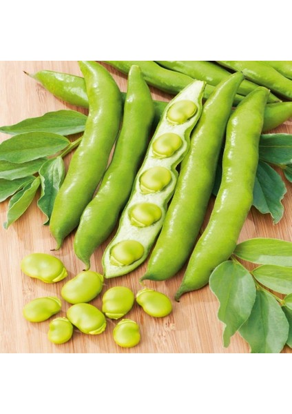 250 Adet Bakla Tohumu + Sürpriz Hediye Tohum fiyatları