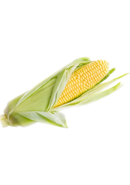 500 Adet Tatlı Mısır Tohumu + Tohum fiyatları