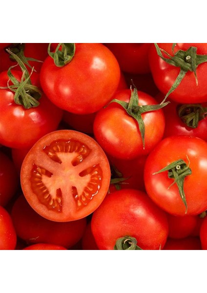 10 Adet Falcon Domates Tohumu + Tohum