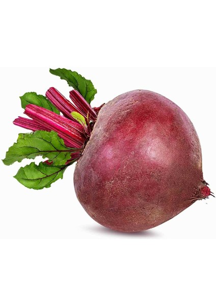 10 Adet Kırmızı Pancar Tohumu + Tohum fiyatları