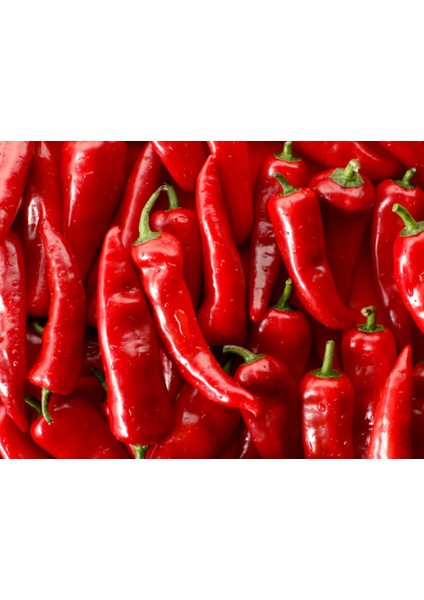 10 Adet Kırmızı Kapya Biber Tohumu + Tohum fiyatları
