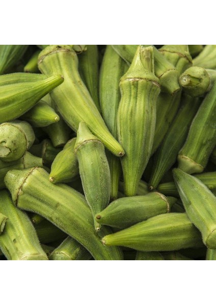 40 Adet Bamya Tohumu + Tohum