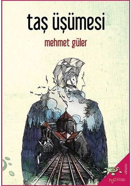 Taş Üşümesi - Mehmet Güler