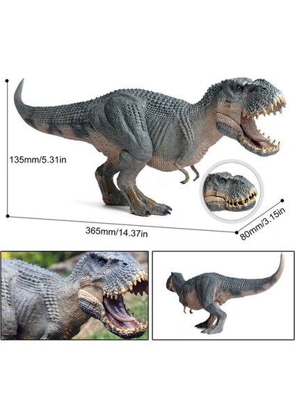 Jurassic King Kong Tyrannosaurus Model Oyuncak Hediye (Yurt Dışından)