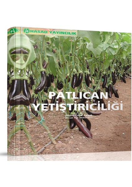 Patlıcan Yetiştiriciliği Kitabı