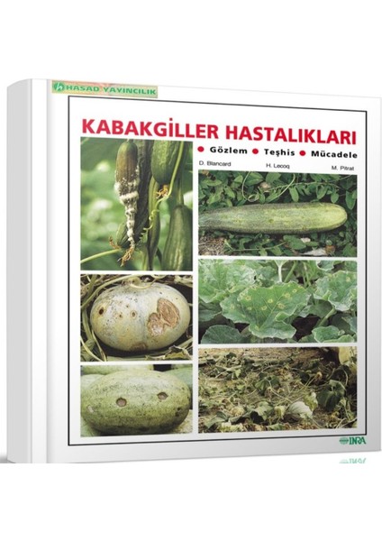 Kabakgiller Hastalıkları Kitabı