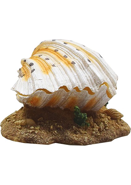 Yapay Akvaryum Kabuğu (Yurt Dışından) fiyatları