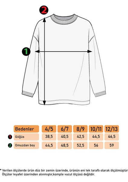 Toontoy Kız Çocuk Peluş Detaylı Baskılı Sweatshirt fiyatları