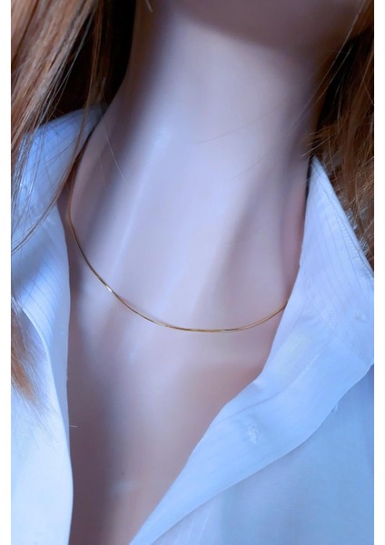 Italyan Yılan Zincir 14K Altın Kpl. Kolye fiyatları