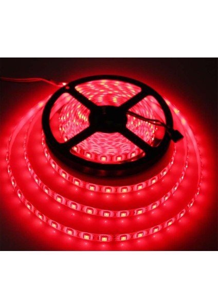 3 Çipli Silikonsuz Şerit LED Iç Mekan LED Tasarım Aydınlatması Gün Işığı-20 Metre