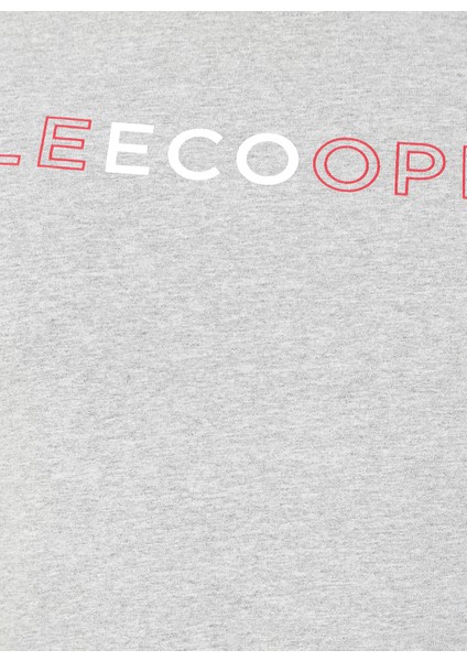 202 Lcm 242080 Rcy 03 Gri M Repreve T-Shirt modelleri