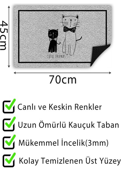 Kapı Önü Paspası Dekoratif Kapı Paspası Dış Mekân Paspas Ev Içi Paspası 45X70CM