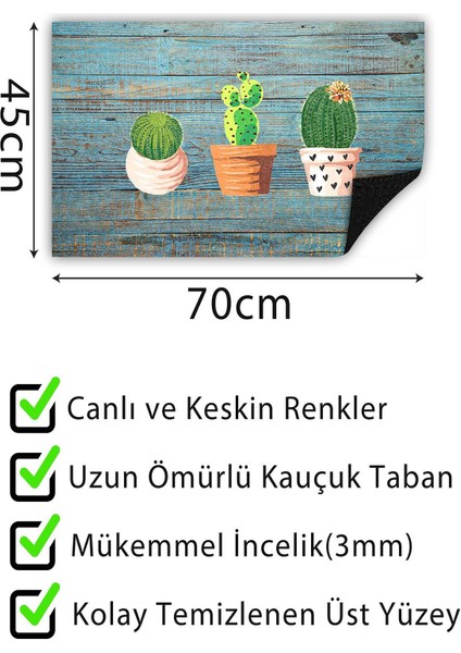 Kapı Önü Paspası Dekoratif Kapı Paspası Dış Mekân Paspas Ev Içi Paspası 45X70CM