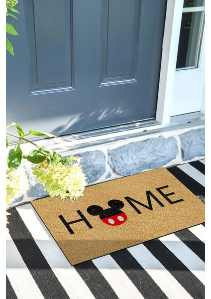 Home Kapı Önü Paspası Dekoratif Kapı Paspası Dış Mekân Paspas Ev Içi Paspası 45X70CM