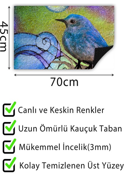Limon Kapı Önü Paspası Dekoratif Kapı Paspası Dış Mekân Paspas Ev Içi Paspası 45X70CM