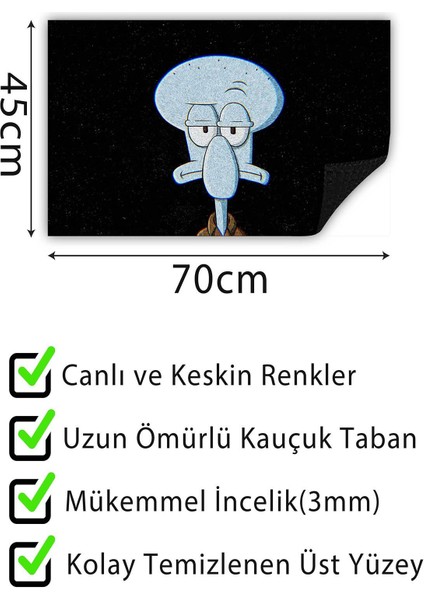 Kapı Önü Paspası Dekoratif Kapı Paspası Dış Mekân Paspas Ev Içi Paspası 45X70CM