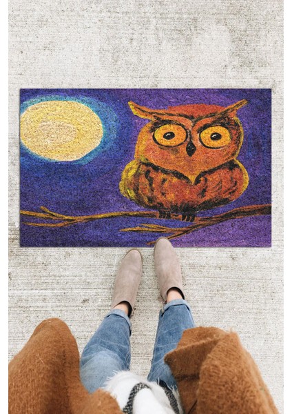 Baykuş Kapı Önü Paspası Dekoratif Kapı Paspası Dış Mekân Paspas Ev Içi Paspası 45X70CM
