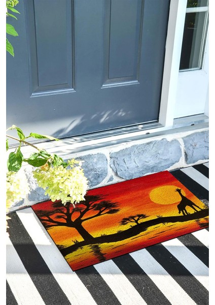 Manzara Kapı Önü Paspası Dekoratif Kapı Paspası Dış Mekân Paspas Ev Içi Paspası 45X70CM