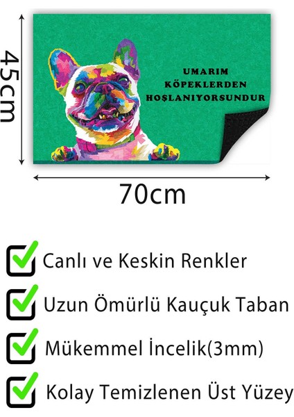 Kapı Önü Paspası Dekoratif Kapı Paspası Dış Mekân Paspas Ev Içi Paspası 45X70CM