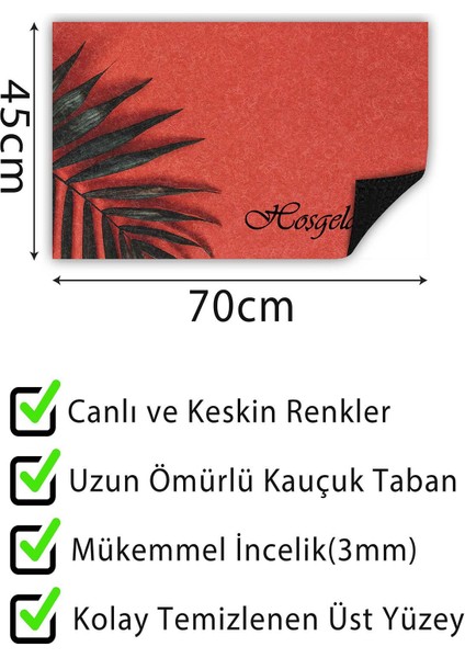 Kapı Önü Paspası Dekoratif Kapı Paspası Dış Mekân Paspas Ev Içi Paspası 45X70CM