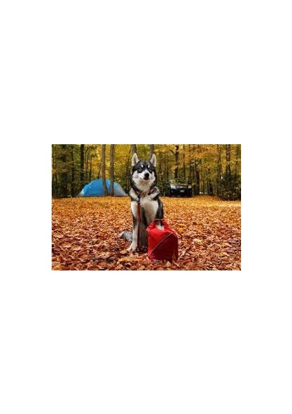 Pet Safe Petsafe Kurgo Kibble Kuru Mama Taşıyıcı Kırmızı K01671 fırsatları