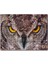 Kartal Baykuş 120 Parça Puzzle Yapboz Mdf (Ahşap) 1