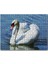 Kuğu Kuşu 1000 Parça Puzzle Yapboz Mdf(Ahşap) 1
