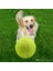 Tenis Topu Köpek Oyuncağı 1 Adet 648 1