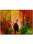Mowgli Orman Çocuğu ve Ayı Görsel 255 Parça Puzzle Yapboz Mdf (Ahşap) 1