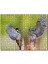 Ağaçkakan ve Baykuş 120 Parça Puzzle Yapboz Mdf (Ahşap) 1