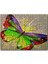 Renkli Kelebek Yaplıboya 120 Parça Puzzle Yapboz Mdf (Ahşap) 1
