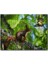 Sincap Kuş Muhabbeti 120 Parça Puzzle Yapboz Mdf (Ahşap) 1