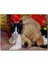 Yavru Kedi Köpek 120 Parça Puzzle Yapboz Mdf (Ahşap) 1