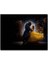 Cakapuzzle Beauty And The Beast Dans Ediyorlar 255 Parça Puzzle Yapboz Mdf (Ahşap) 1