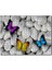 Cakapuzzle Beyaz Taşlar ve Rengarenk Kelebekler 1000 Parça Puzzle Yapboz Mdf(Ahşap) 1