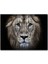 Cakapuzzle Erkek Aslan Siyah Zemin 120 Parça Puzzle Yapboz Mdf (Ahşap) 1