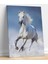 Koşan Yalnız At Kanvas Tablo 2