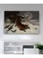 Gustave Courbet Kardaki Tilki Kanvas Tablo 1