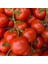 50 Adet MSC50 Domates Tohumu + Tohum 2
