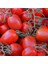 20 Adet Domates Rio Grande Tohumu + Tohum 1
