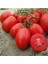 20 Adet Domates Rio Grande Tohumu + Tohum 2