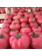 30 Adet Pembe Domates Tohumu + Tohum 1