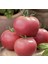 30 Adet Pembe Domates Tohumu + Tohum 2