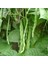50 Adet Taze Fasulye Sırık Öz Ayşe Tohumu + Tohum 1