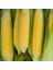 500 Adet Tatlı Mısır Tohumu + Tohum 1