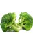 10 Adet Brokoli Brocoli Tohumu + Tohum 2