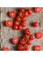 10 Adet Çeri Domatesi Cherry Tohumu + Tohum 2