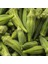 40 Adet Bamya Tohumu + Tohum 1