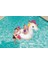 Pegasus Binici 150X117 cm Bestway - 41114 1